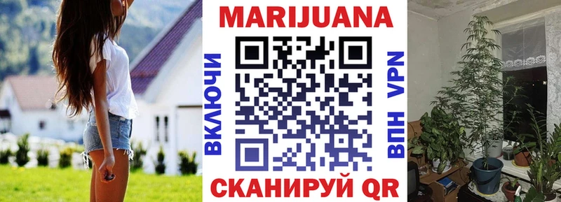 Марихуана планчик  где продают наркотики  Бирюч 